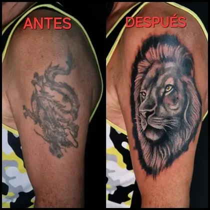 De dragón a león — Hombro