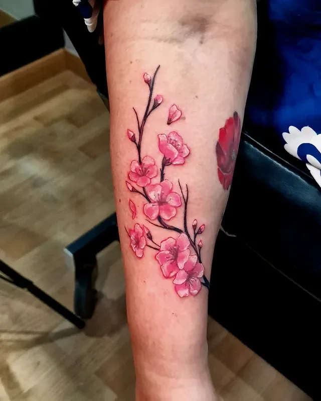Rama de cerezo — Color, Brazo