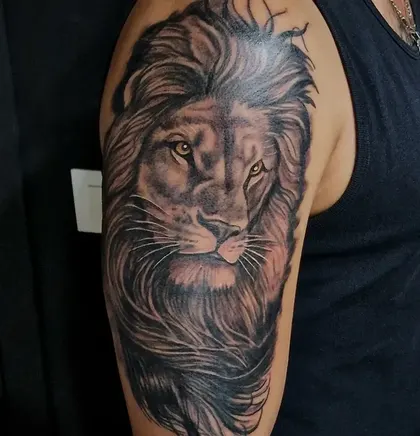 Mirada de león — Hombro